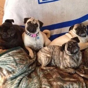 Meet your Posher, Tyra